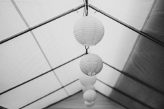 reportage-s-1498