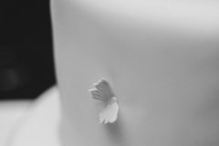 reportage-s-1732